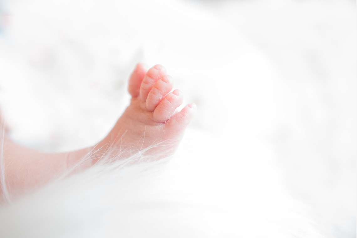 Acornが撮影した写真のアルバム「ニューボーンフォト」