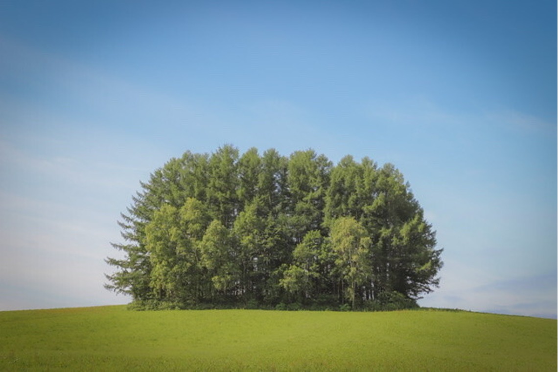 芳賀 翔大が撮影した「北海道」の写真