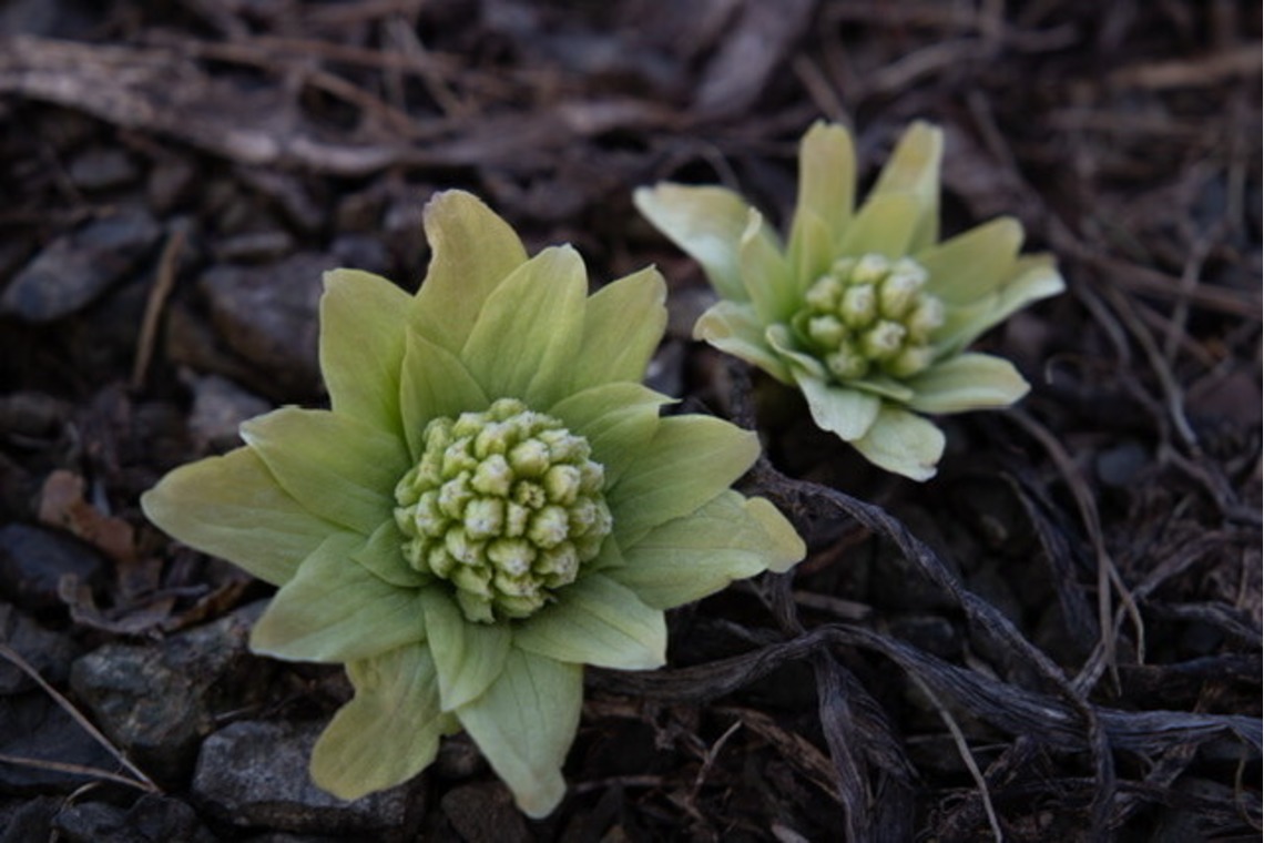 芳賀 翔大が撮影した「北海道」の写真