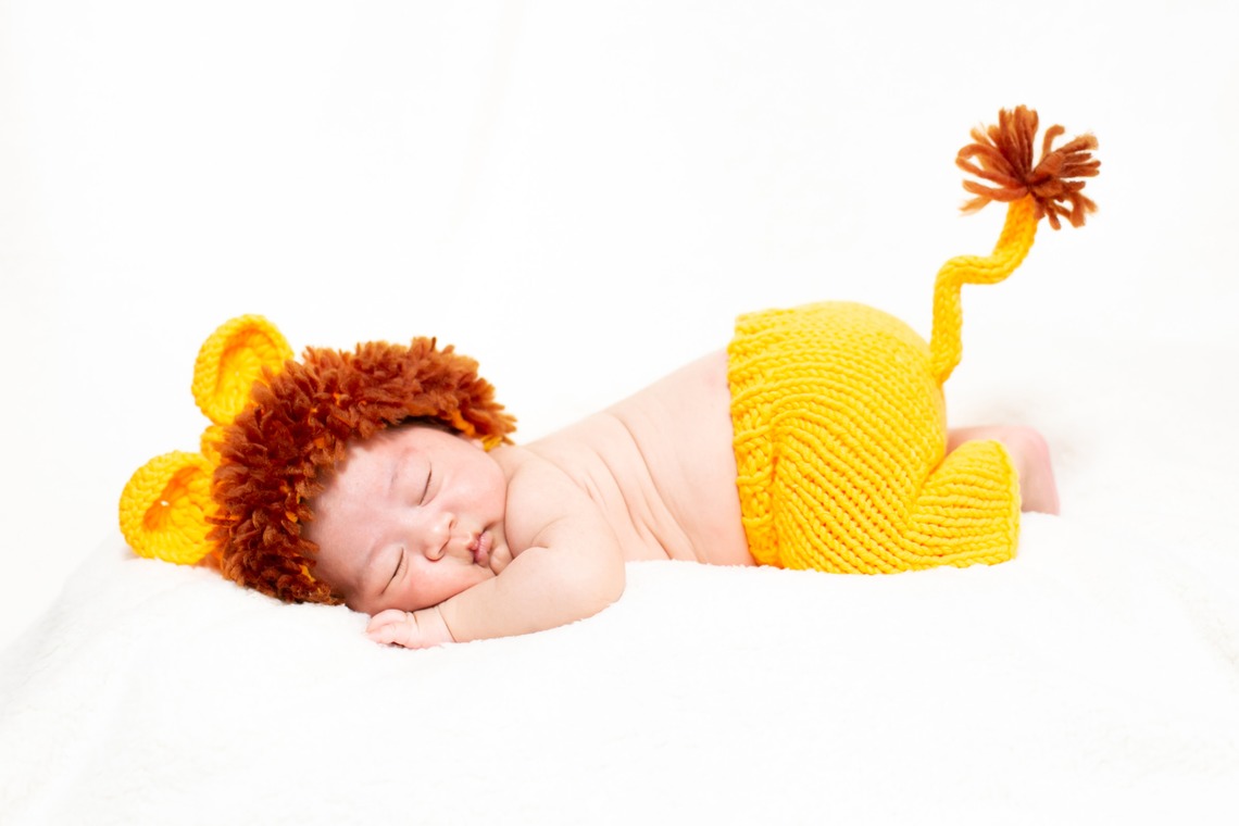 ゾクが撮影した写真のアルバム「ニューボーンフォト」