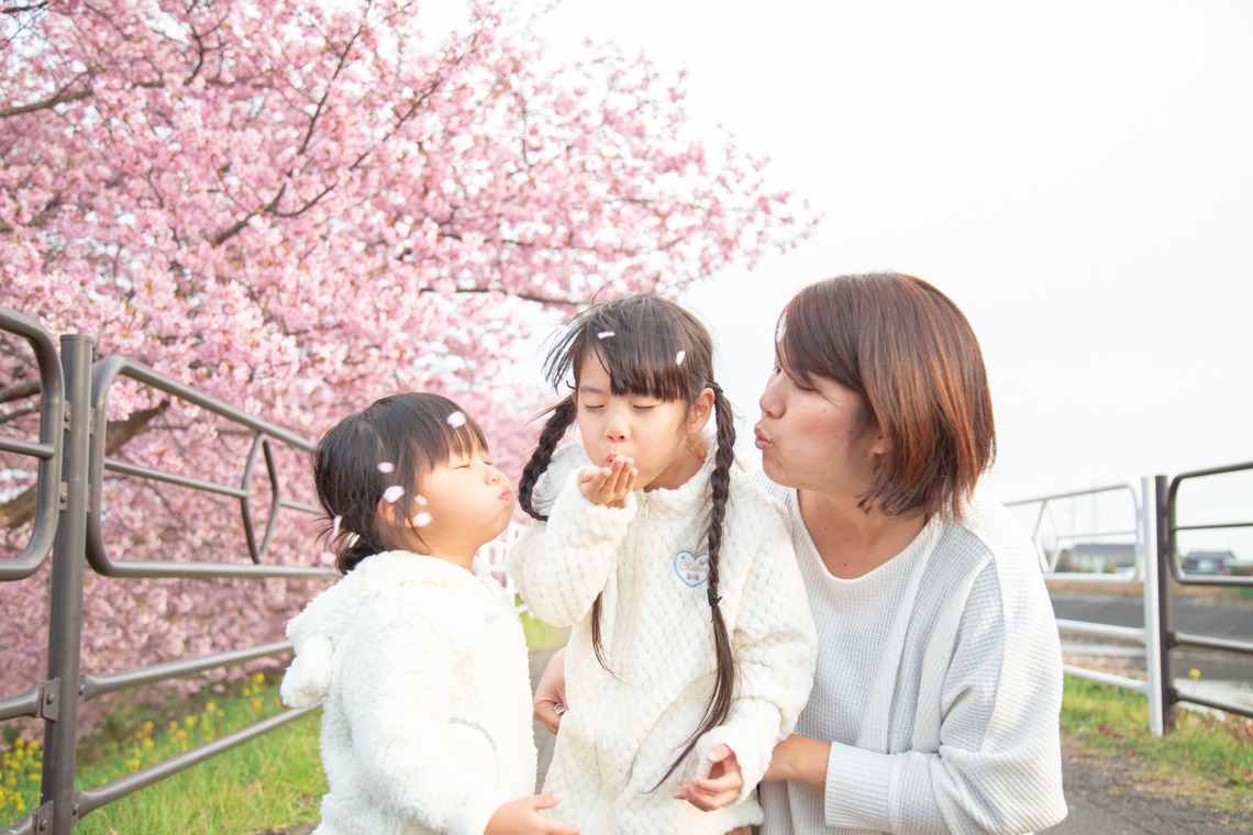 ゆのみふぉとが出張撮影した家族写真(キッズ,ベビーフォト)などが写った「桜とお写真」の家族写真