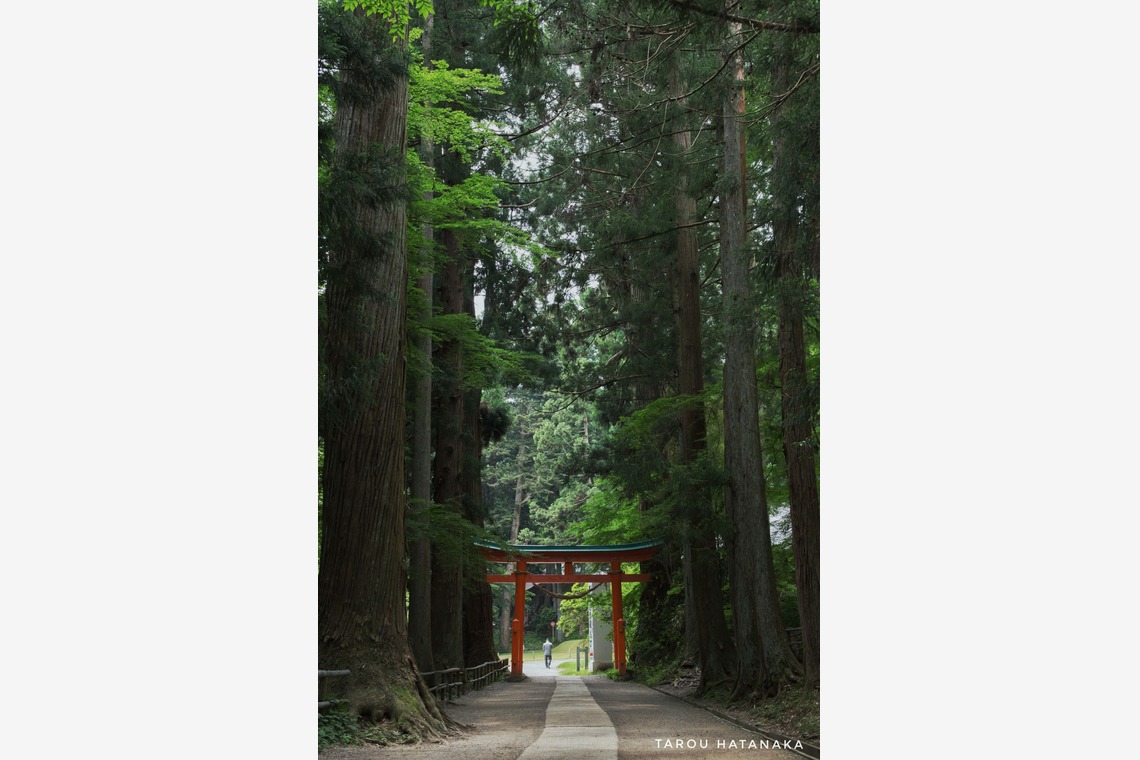 TAROU_HATANAKA が撮影した「」の写真