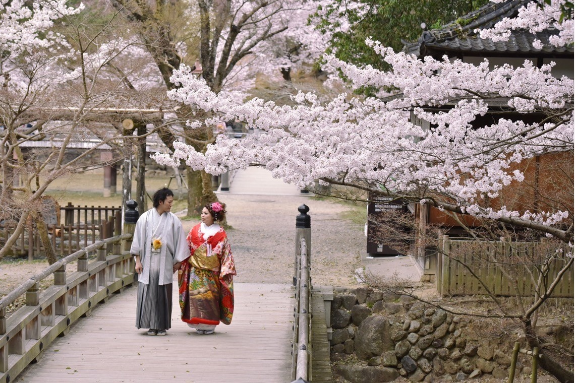 キキフォトワークスが撮影した「桜の季節の和装前撮り」の写真