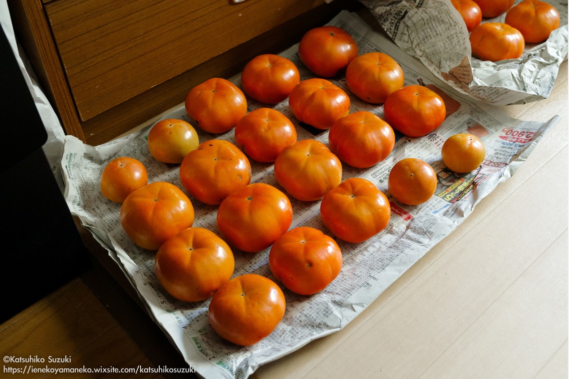 Katsuhiko Suzukiが撮影した「Portfolio」の写真