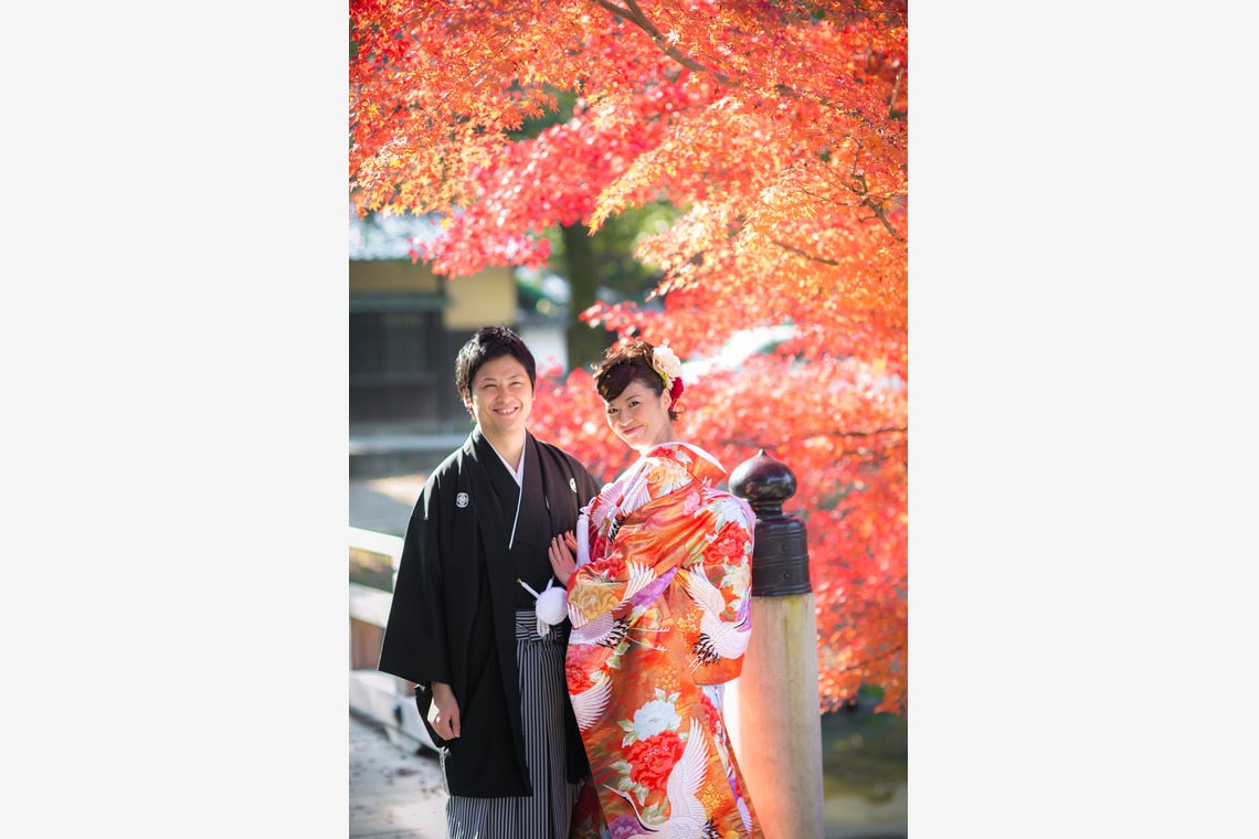 studio zeroが撮影した「奈良」の写真