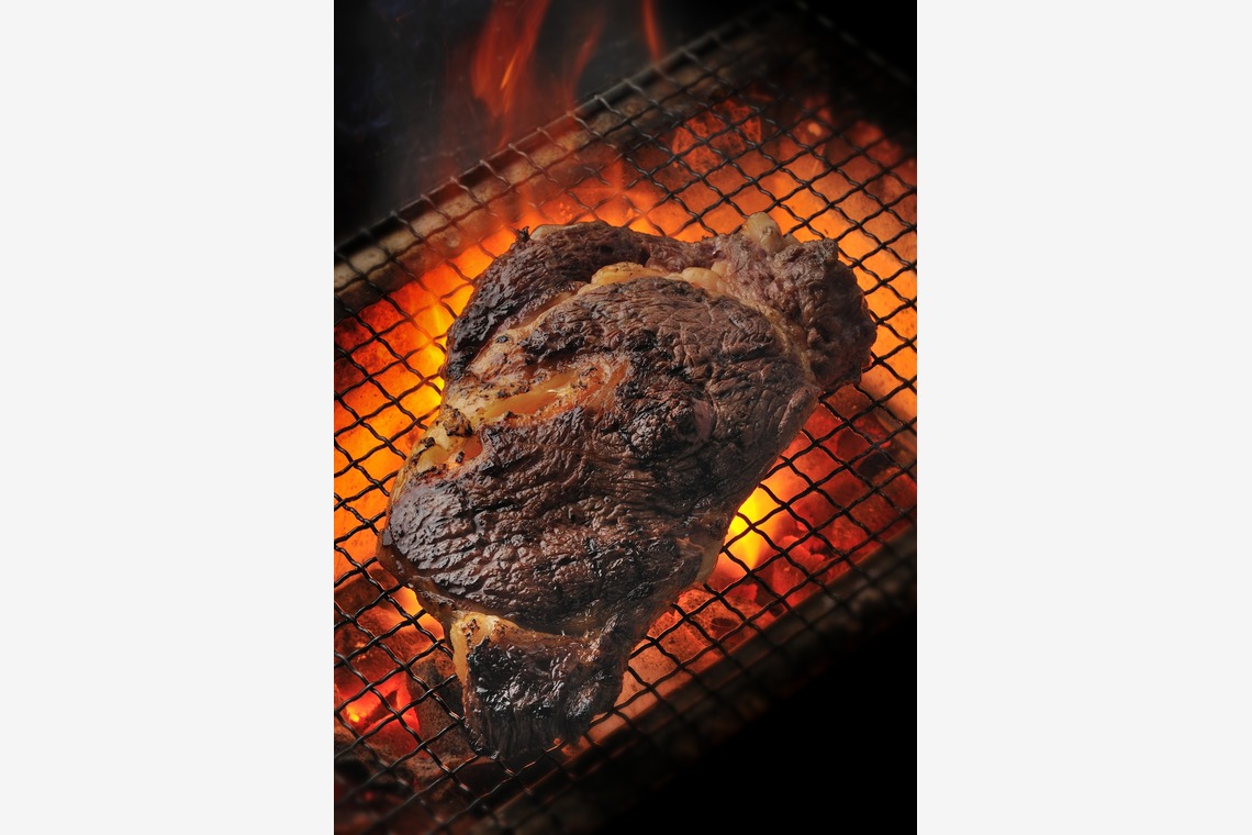 菊地事務所が撮影した写真のアルバム「森羅万象」