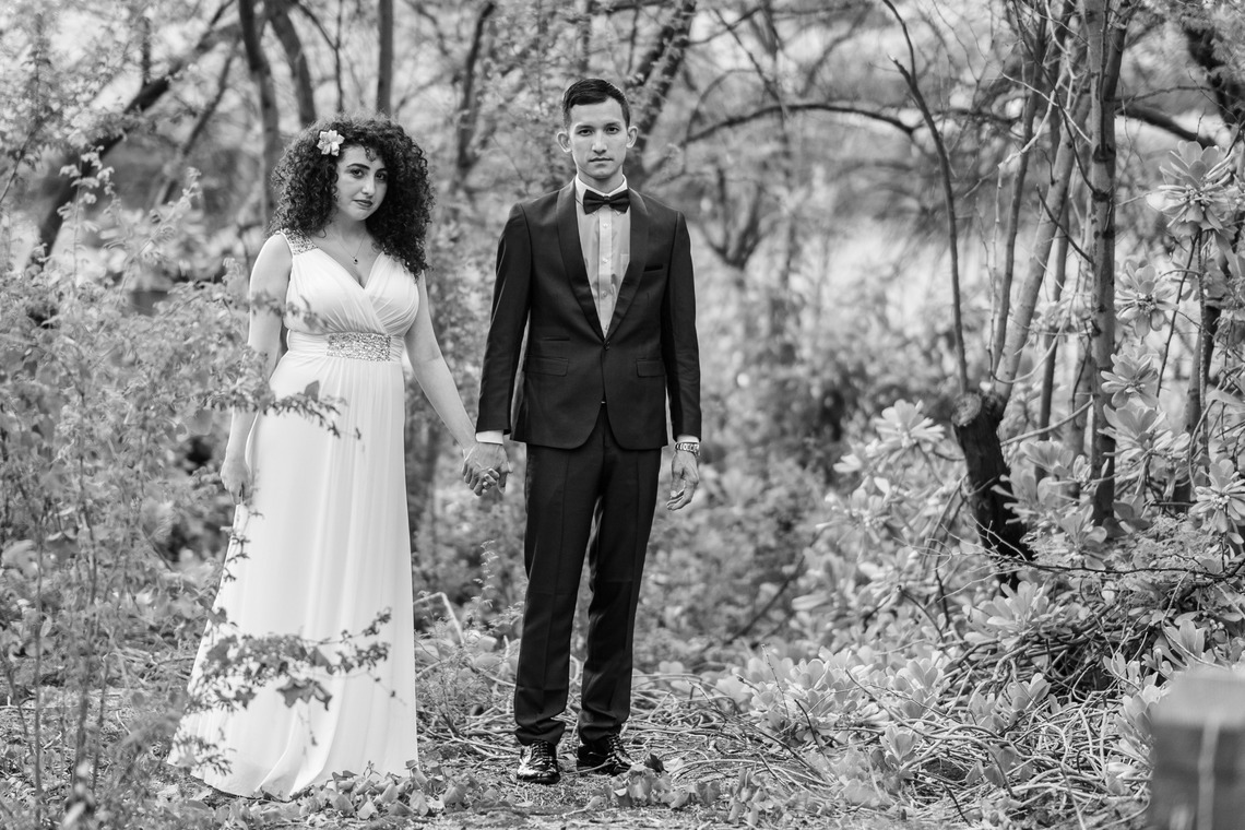 Hawaii Life Photography & Media