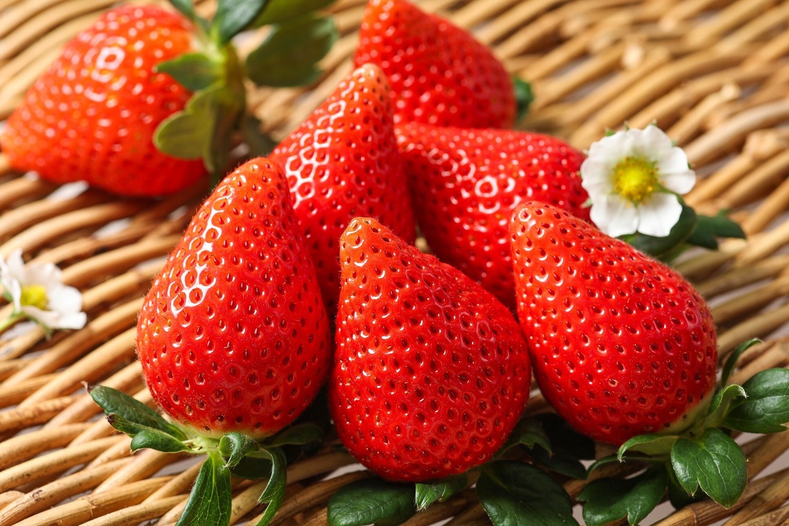 株式会社Neo-Smile 「locationbreeze」高橋 徹が撮影した写真のアルバム「かがやきいちご園様（広告撮影）」