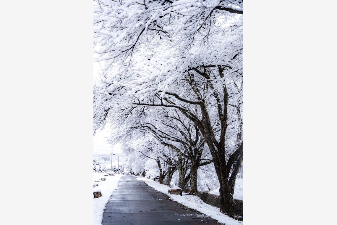 村のくまが撮影した写真のアルバム「風景」