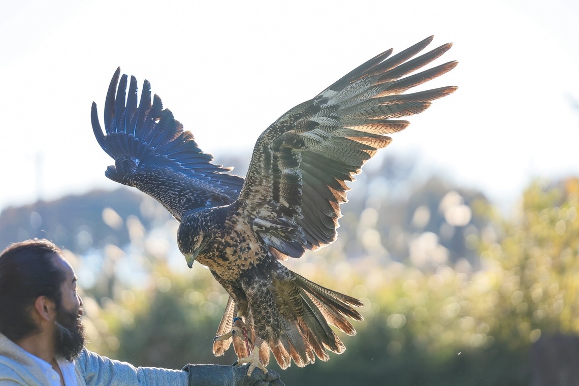 株式会社Neo-Smile 「locationbreeze」高橋 徹が撮影した「ペット動物など」の写真