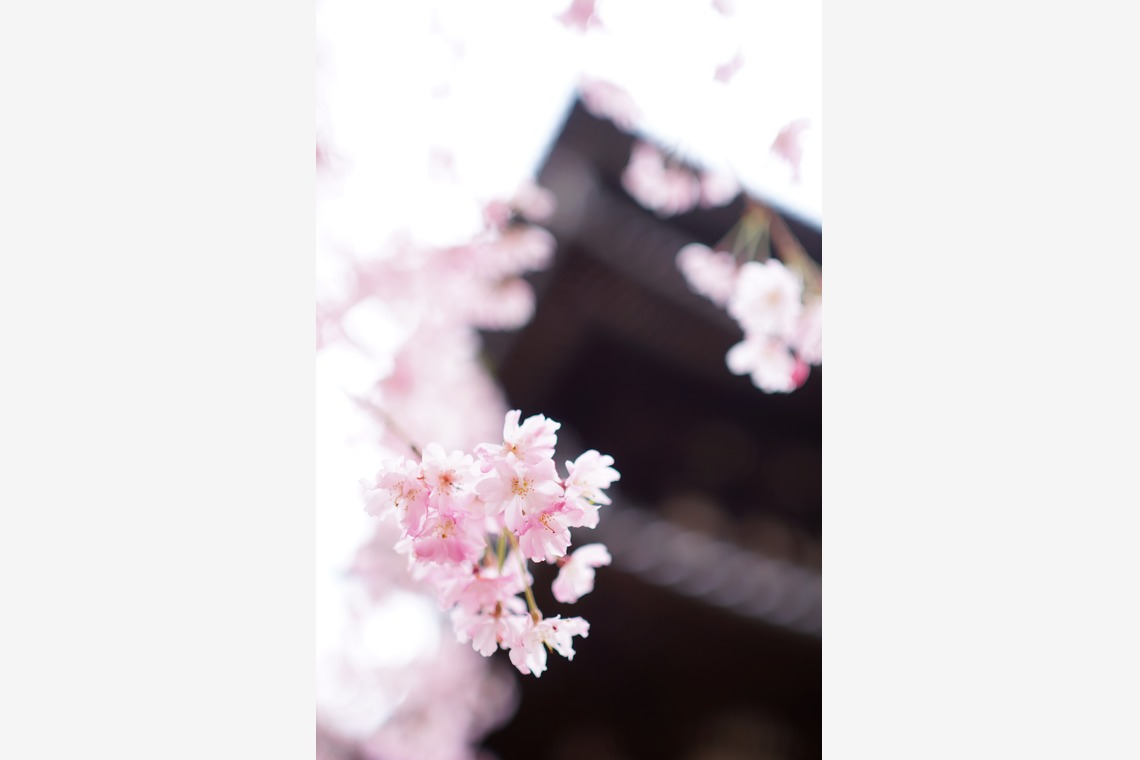 難波卓美が撮影した「街角スナップ」の写真