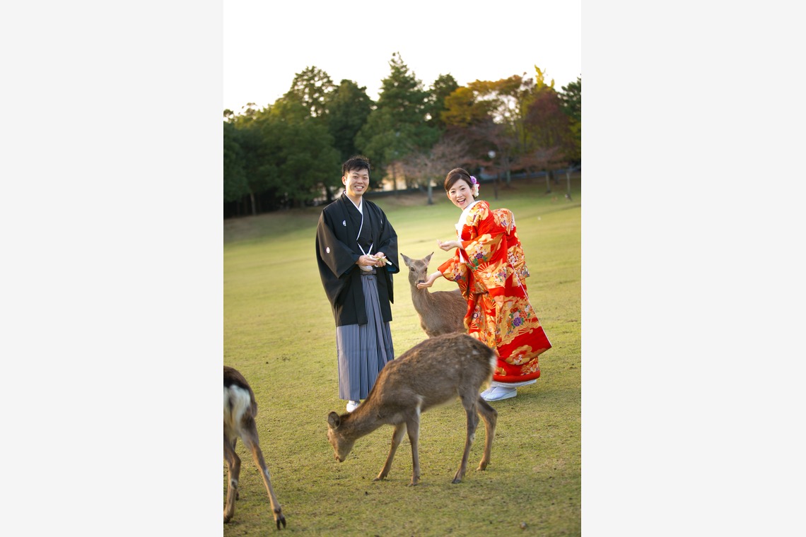 studio zeroが撮影した写真のアルバム「奈良」