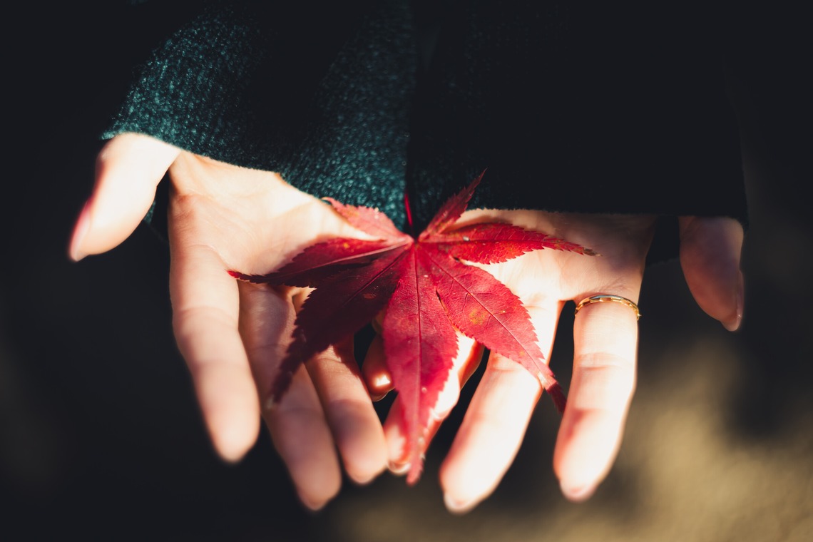 内藤駿介が撮影した写真のアルバム「プロフィール撮影 ポートレート」