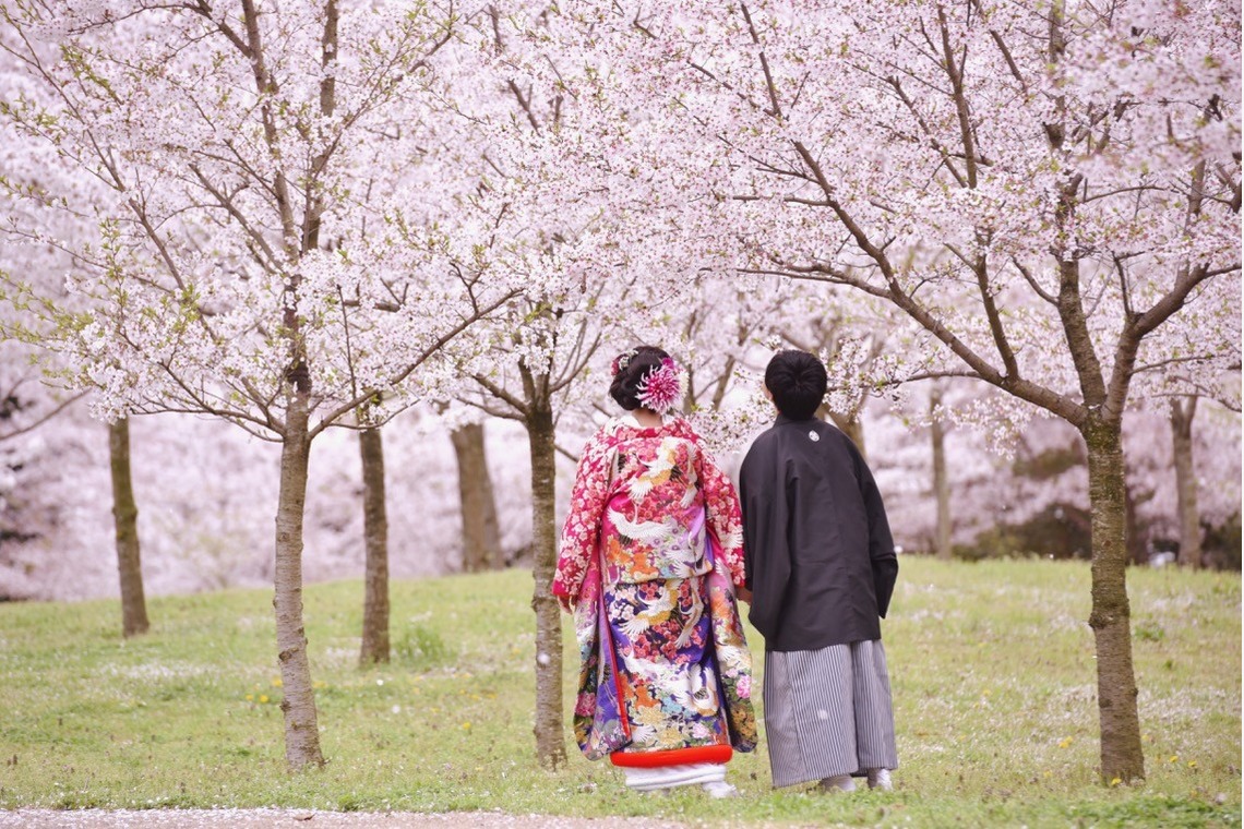 キキフォトワークスが撮影した「桜の季節の和装前撮り」の写真