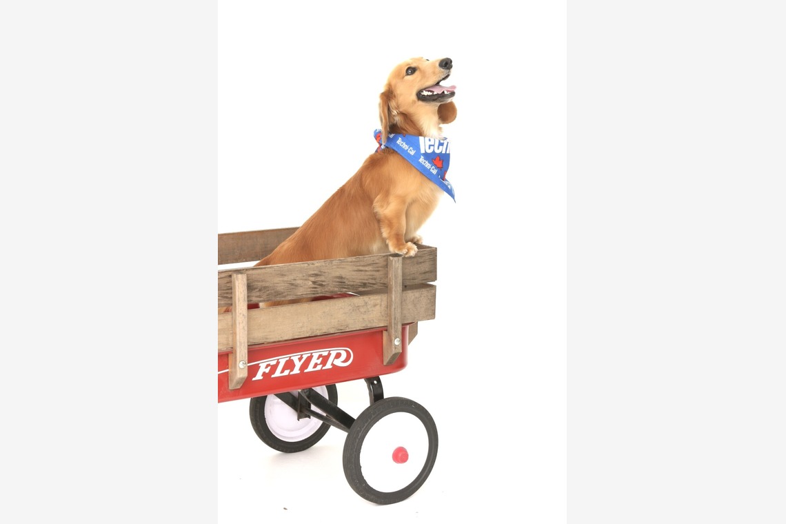 Hiroが出張撮影した家族写真(キッズ,ベビーフォト)などが写った「ペット撮影」の家族写真