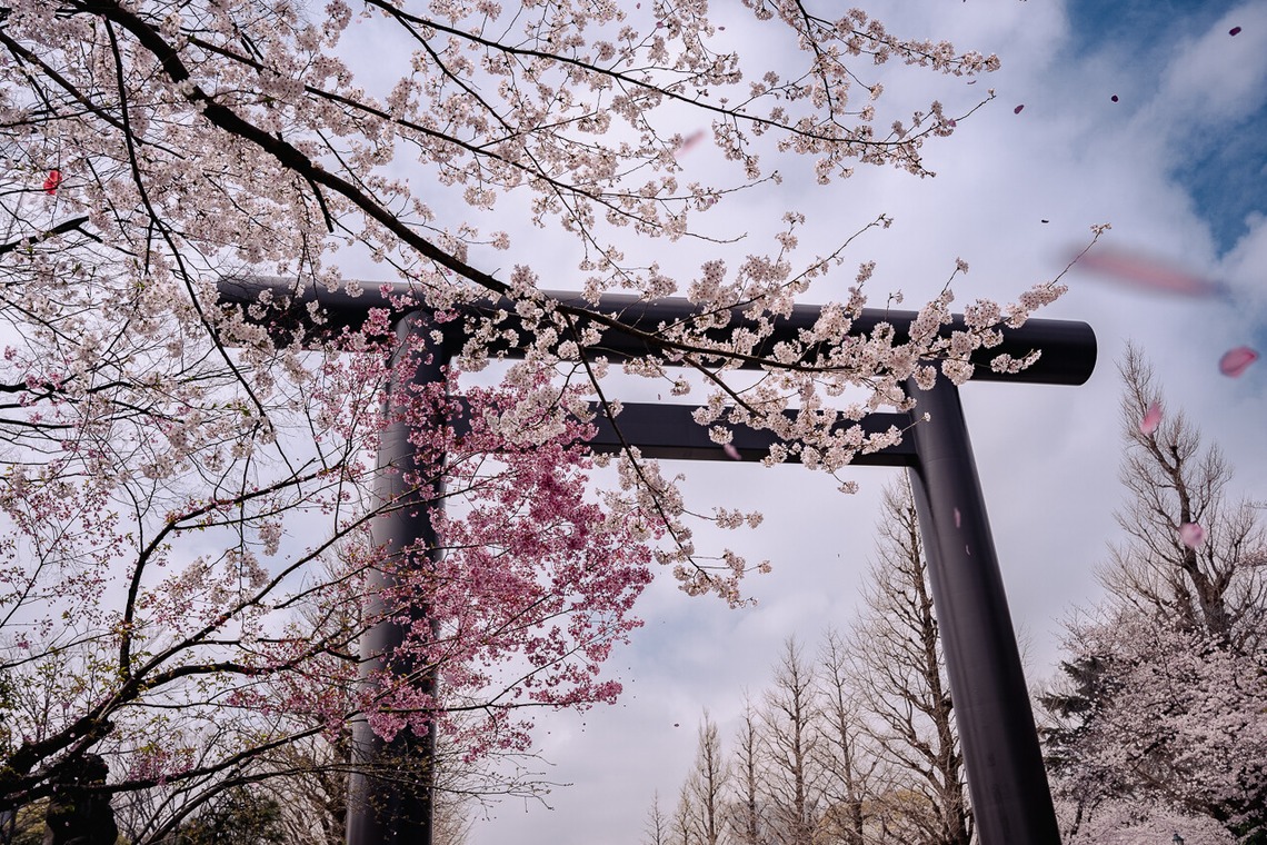 いんかが撮影した写真のアルバム「風景.a」