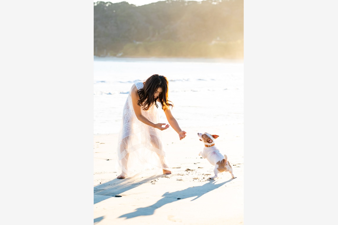 Peace-full photoが撮影した「ペット撮影」の写真