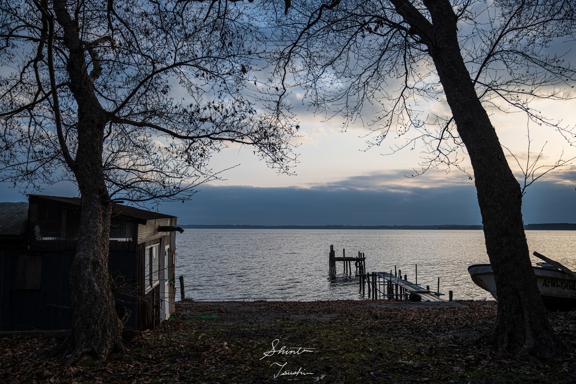 Shintaro Tsushimaが撮影した「風景」の写真