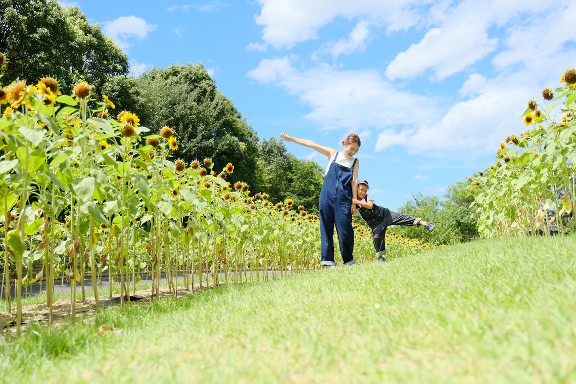 tomizoが撮影した写真のアルバム「お誕生日記念撮影＠しまね花の郷」