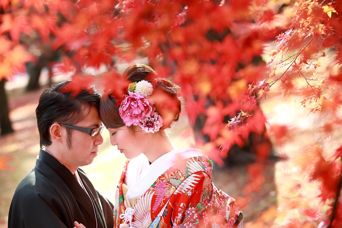 Photo of  taken by Hayashi Photo Works