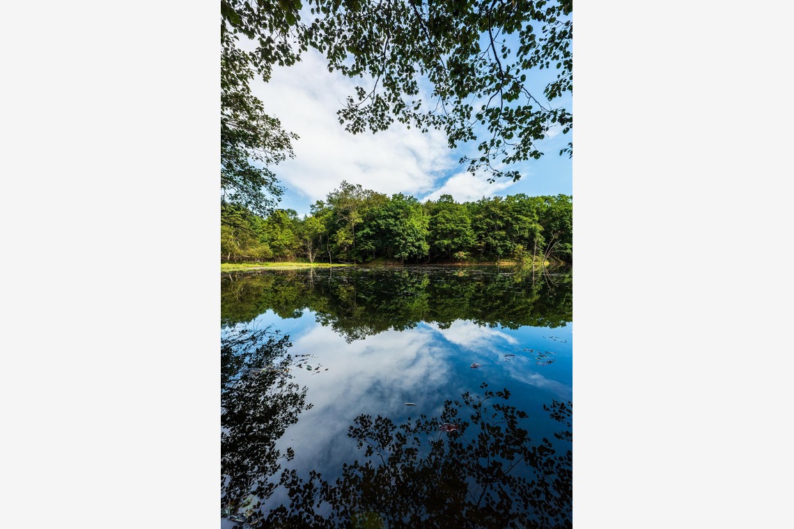 高木勇斗が撮影した「風景」の写真