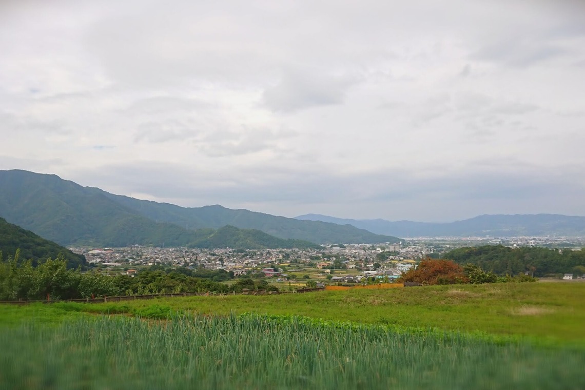 出張撮影のメモリーズが撮影した「nature-アラカルト」の写真