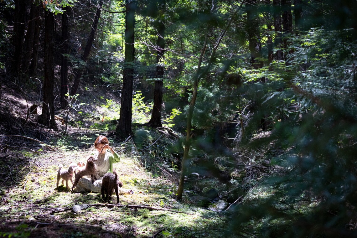 LUCE PHOTO WORKSが撮影した「ペット」の写真