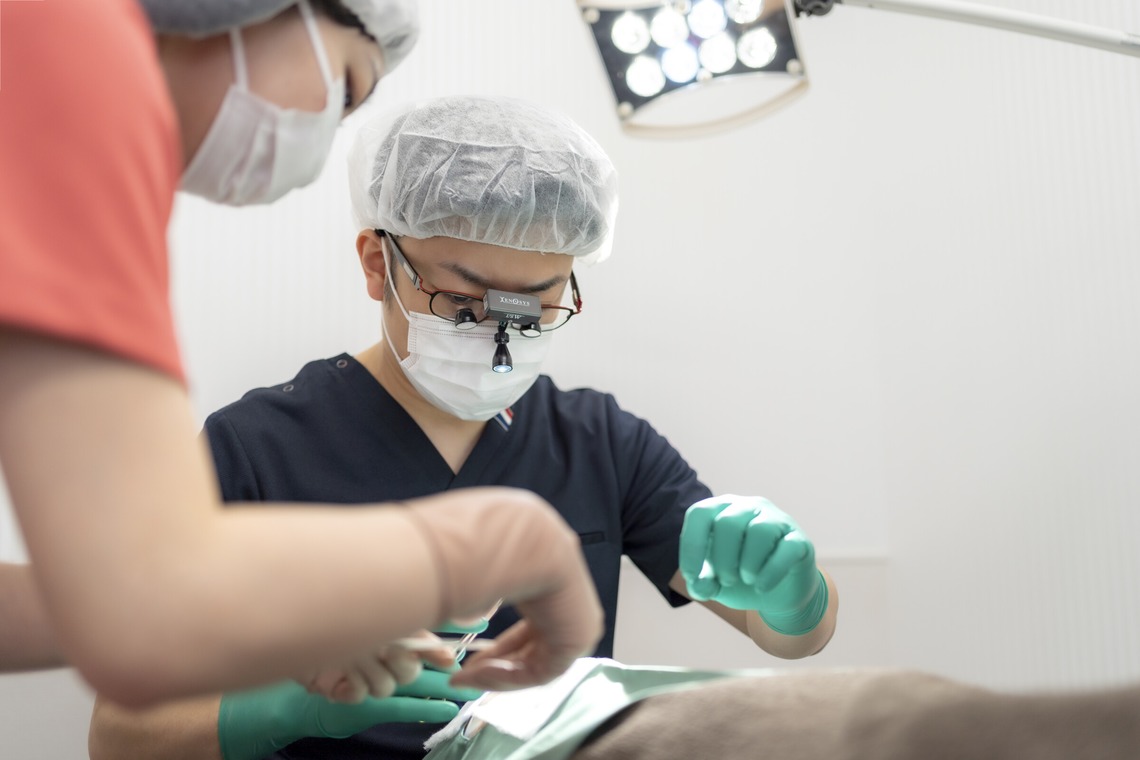 佐藤 葵が撮影した「インタビュー撮影」の写真