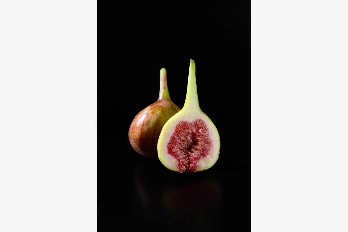 AND KNOTが撮影した「商品・物撮り」の写真