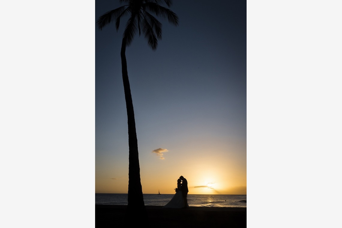 24to Produceが撮影した写真のアルバム「ハワイ」