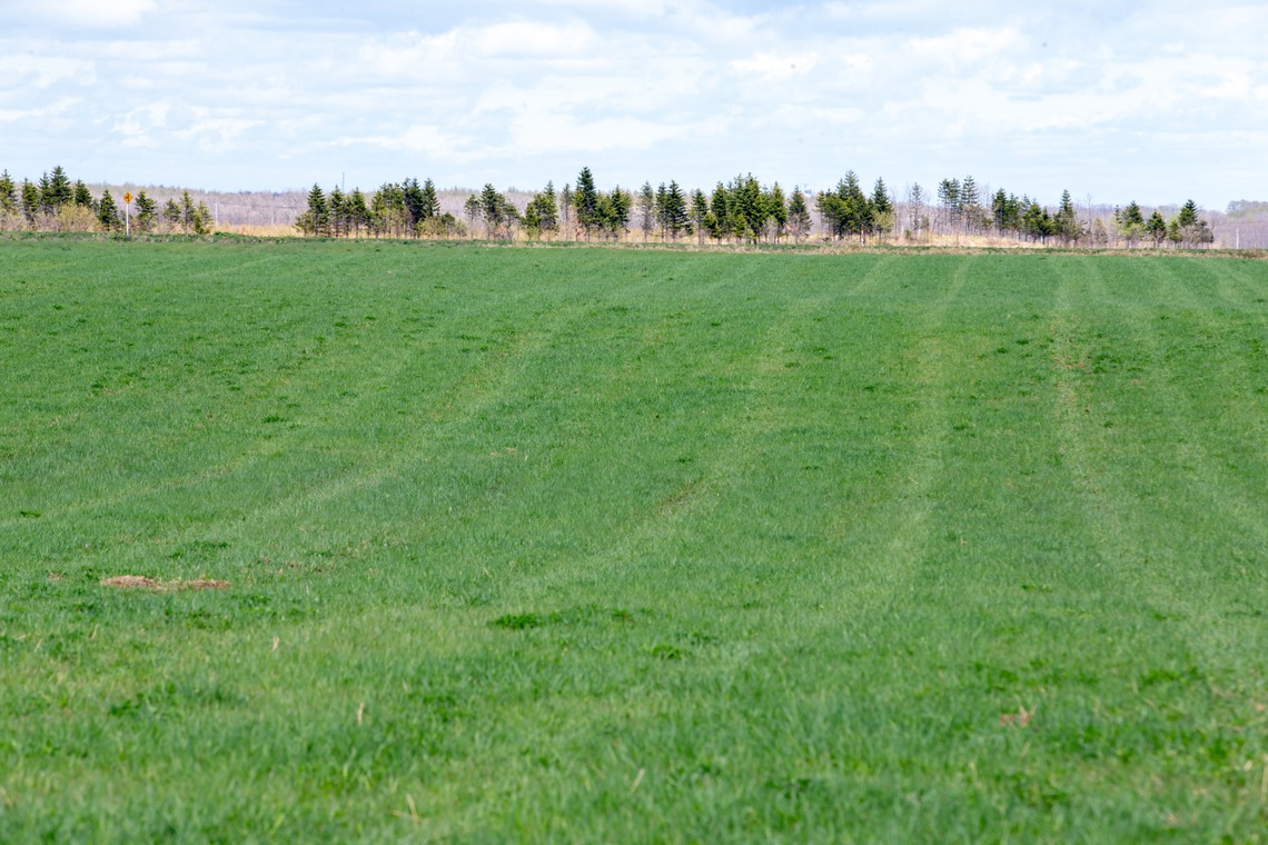 眞田 厚司が撮影した「風景」の写真