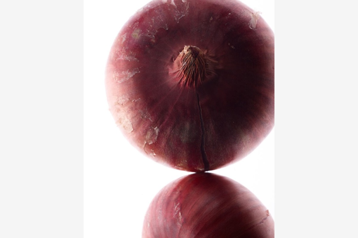 エルスタジオが撮影した「OBJECTS」の写真