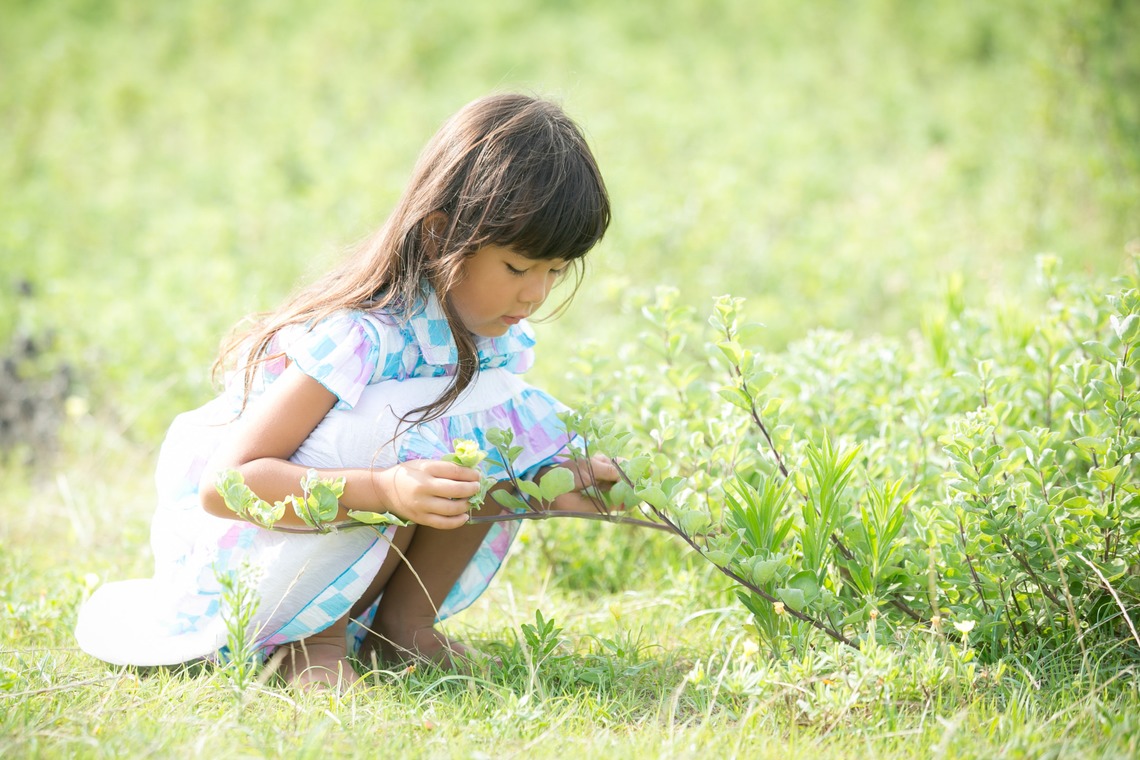 眞田 厚司が撮影した家族写真の出張撮影のアルバム「家族写真・子供写真」