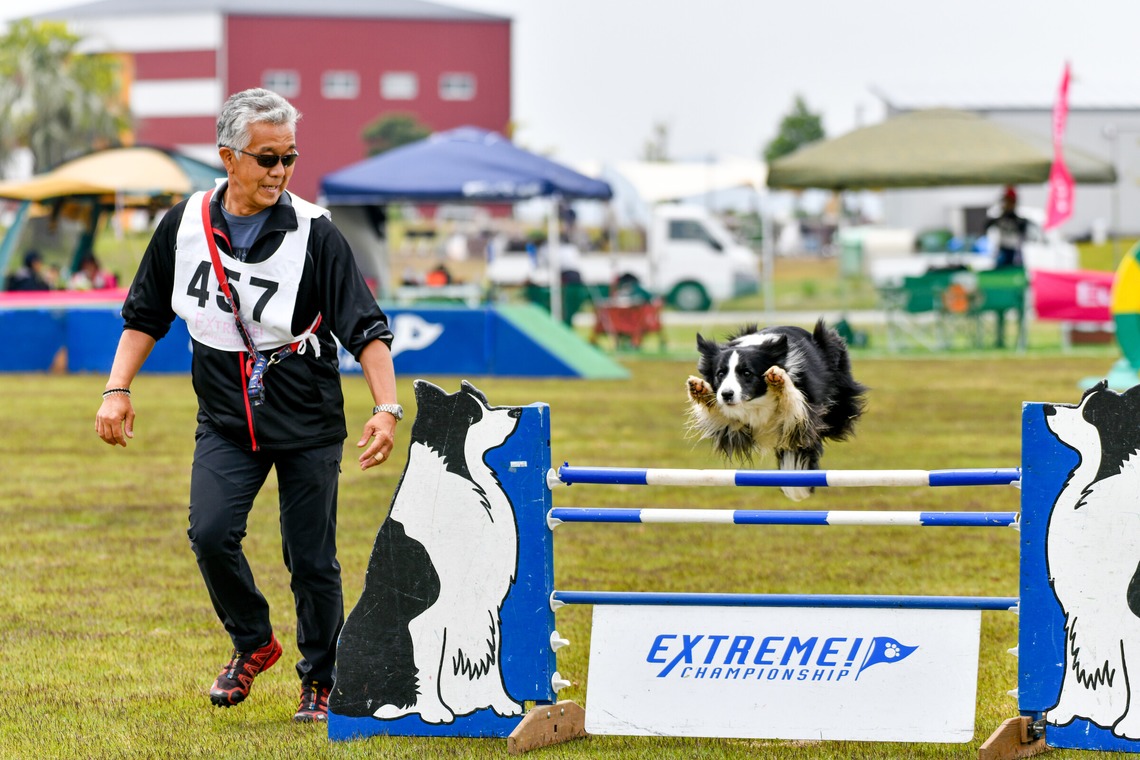 スタジオファンタスが撮影した「ドッグスポーツエクストリーム」の写真