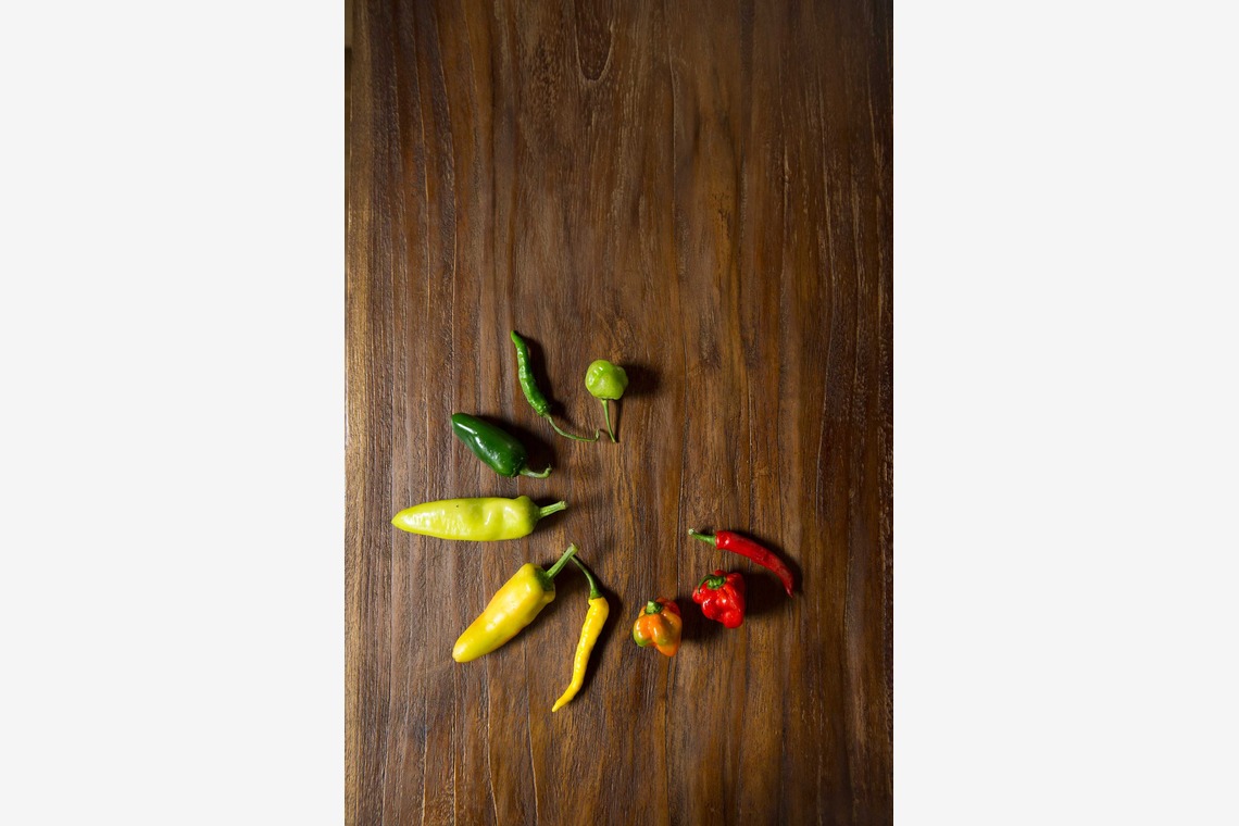 佳川奈央が撮影した「フードフォト」の写真