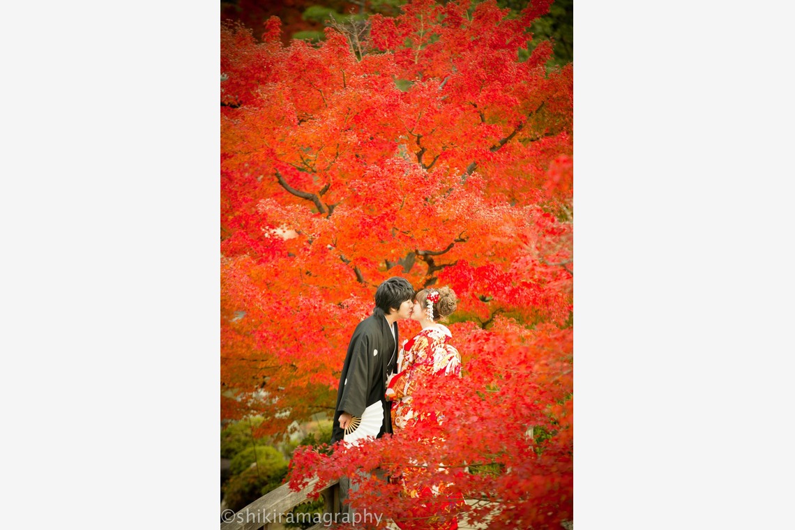 シキラマ グラフィーが撮影した「和装・紅葉」の写真