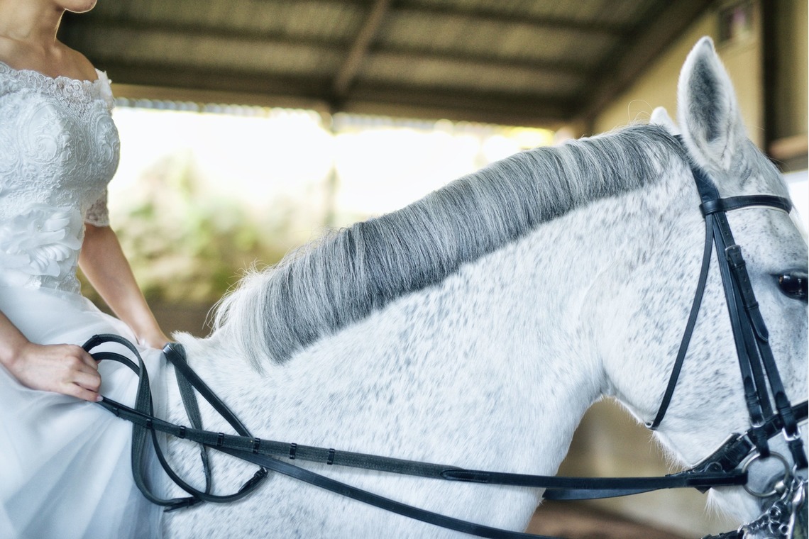 Raita Kuwahara photographyが撮影した写真のアルバム「ウェディング当日」
