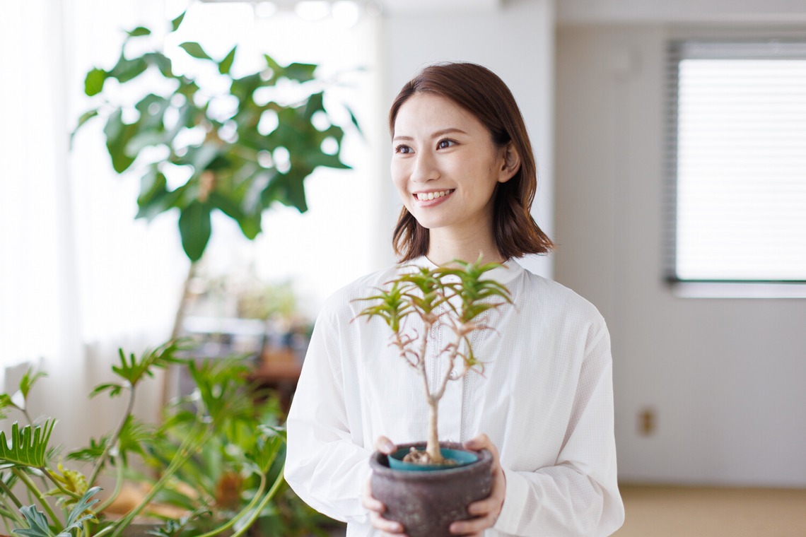 Yusuke Usuiが撮影した写真のアルバム「123RF様 ストックフォト撮影」