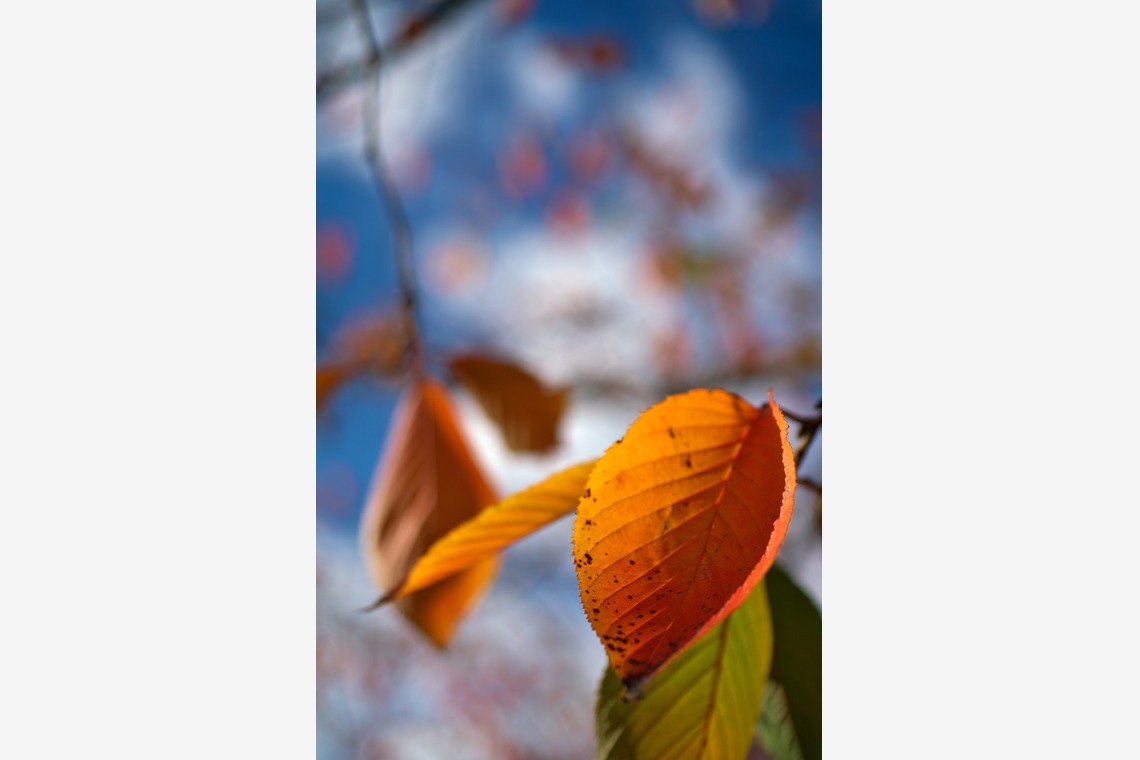 難波卓美が撮影した「街角スナップ」の写真