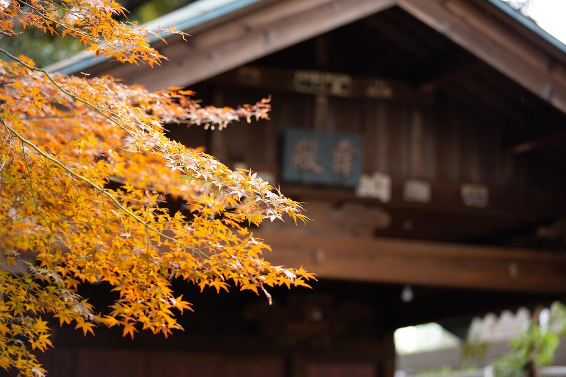 T.Matsumuraが撮影した家族写真の出張撮影/七五三フォト/お宮参りのアルバム「お宮参り(着物)&七五三＠大森熊野神社」