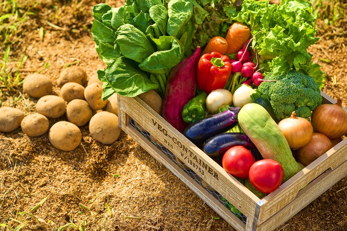 高橋　良が撮影した写真のアルバム「料理」