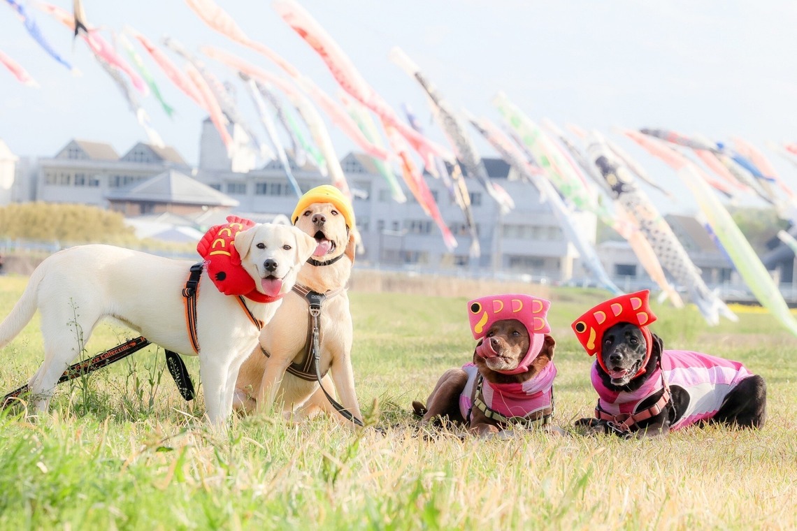 株式会社Neo-Smile 「locationbreeze」高橋 徹が出張撮影した家族写真(キッズ,ベビーフォト)などが写った「ペット動物など」の家族写真