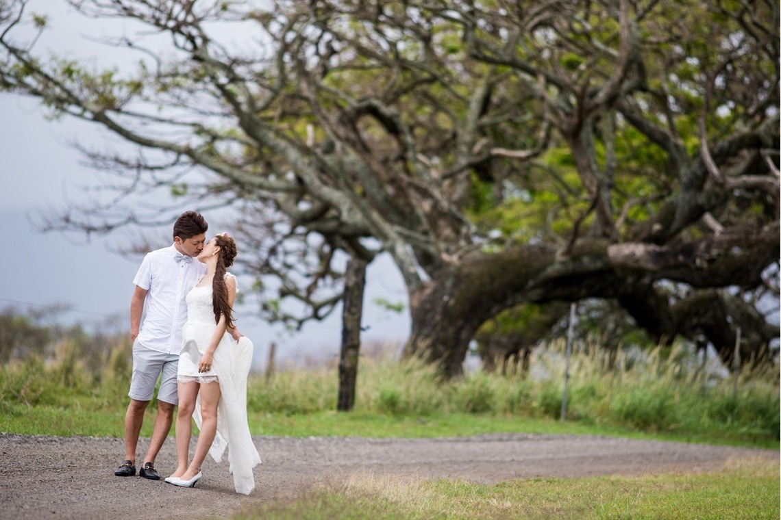 2cconcept (梅田福夫)が撮影した「フォトギャラリー」の写真