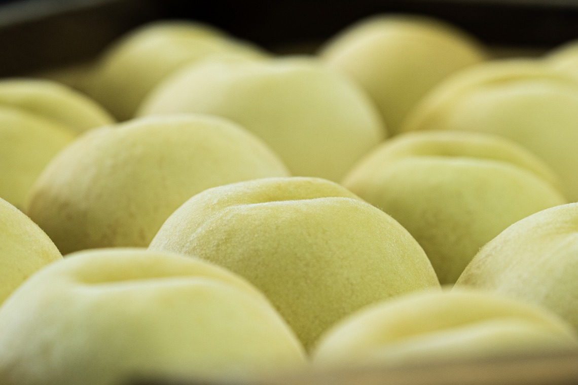 umimoyamamoworksが撮影した「農家さん取材写真」の写真