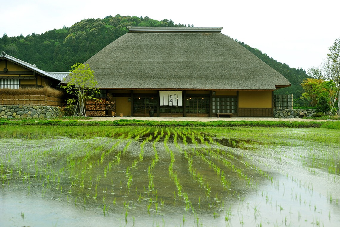 若林聖人が撮影した「撮影例」の写真
