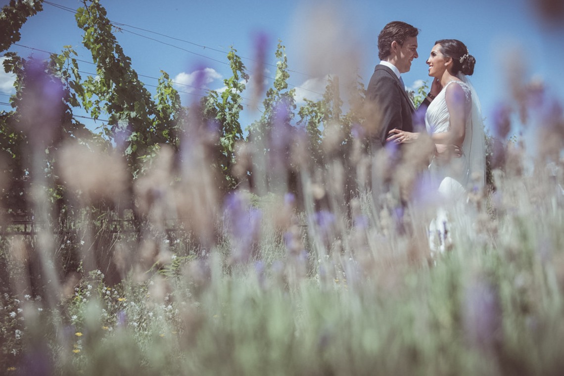 Photo of  taken by Cristian Salvatierra