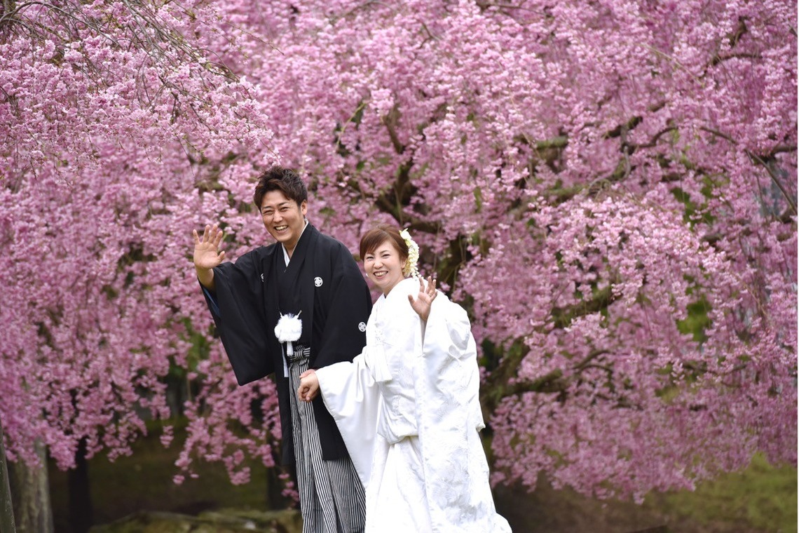 キキフォトワークスが撮影した「桜の季節の和装前撮り」の写真