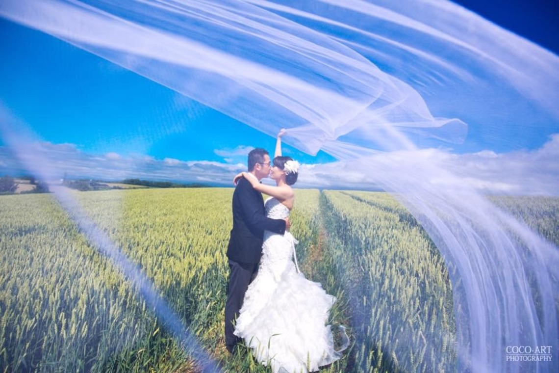 きのさきフォトグラファーが撮影した「フォトギャラリー」の写真