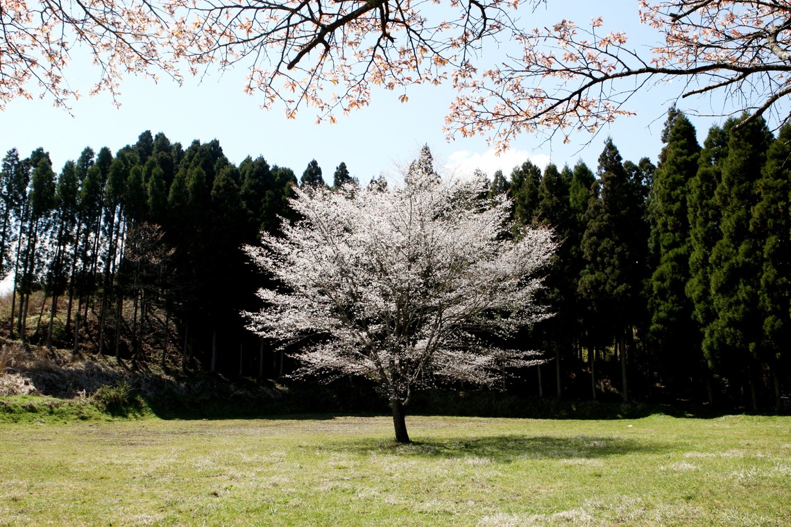 瀬井美明が撮影した「海外・国内」の写真