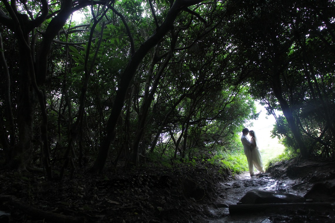 STUDIO AN (スタジオアン)が撮影した写真のアルバム「糸島」